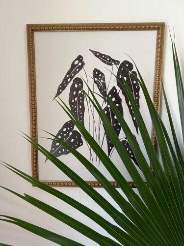 Apartamento Casa Bohique Tropical Rainforest Getaway