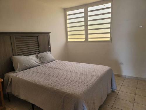 Apartamento Peaceful Ocean Front Home Near Rainforest & Rivers 102