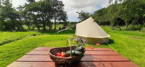 The Barna Way Glamping
