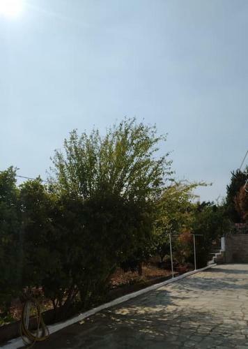 Apartamento Country House 2.5km. From The Sea!