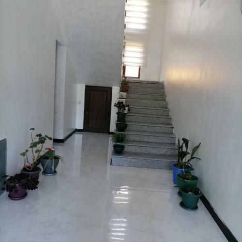 Hostal Guest House Dimitri