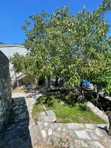 Apartamento House Boskovic - Peaceful & Relaxing