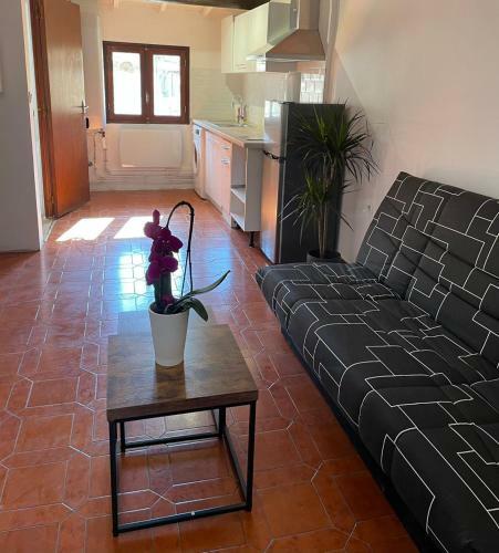 Apartamento T2 Aix Centre Climatis�