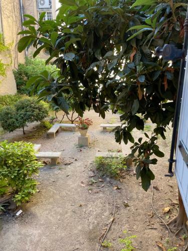Apartamento T2 Aix Centre Climatis�