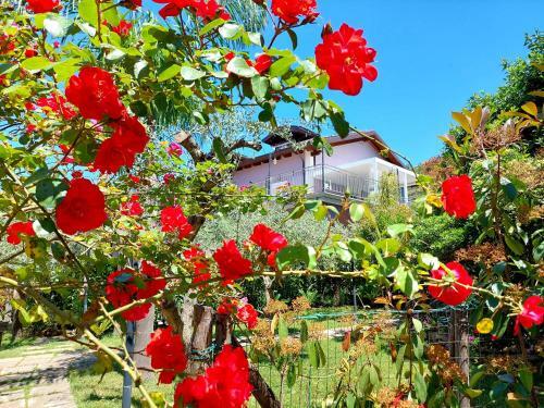 Hostal Villa Margot