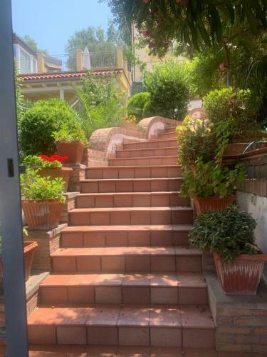 Apartamento Stella Del Cilento Luxury