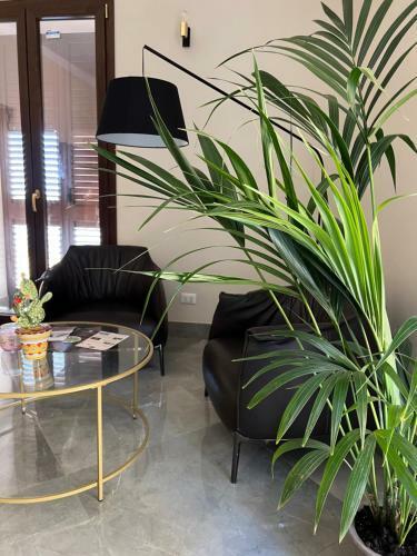 Hostal Calua Luxury Rooms