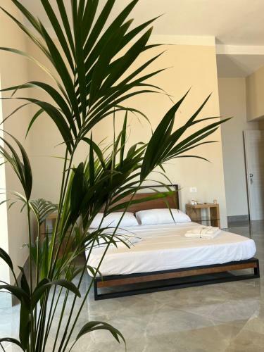 Hostal Calua Luxury Rooms