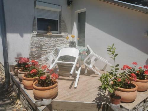 Kam�leon Apartmanh�z