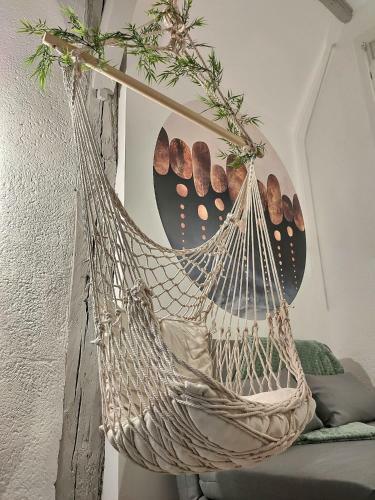 Apartamento Le Temps Suspendu - Au C?ur D'albi