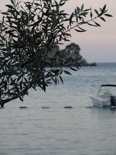 Apartment Hypnos Petrovac