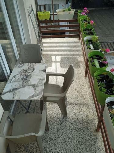 Apartmants Djekovi