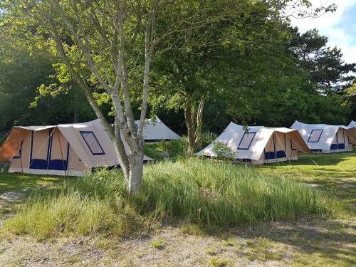 Ameland Tentenverhuur Atv