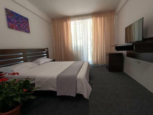 Hostal Casa Hercule