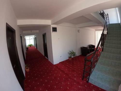 Hostal Casa Hercule