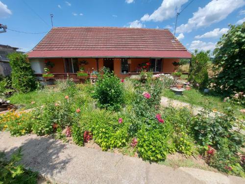 Casa De Vacanta In Tara Fagarasului