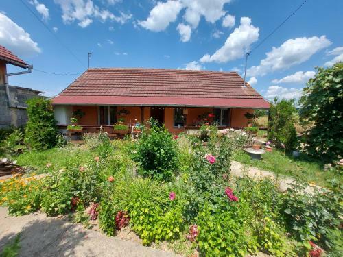 Casa De Vacanta In Tara Fagarasului