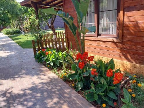 Bed & Breakfast Miss Mandarin Bungalow Evleri