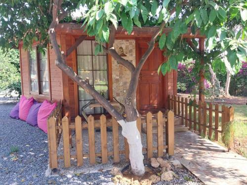 Bed & Breakfast Miss Mandarin Bungalow Evleri