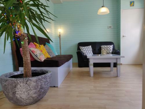 Bungalow Texel Near Beach And City Centre