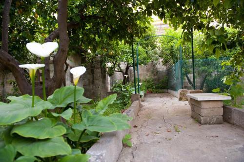 Bed&breakfast Annapaola