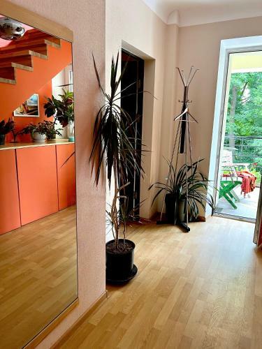 Studio Apartment And Free Airport Transfer