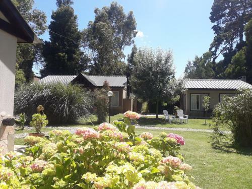 Complejo De Caba�as Villapaz