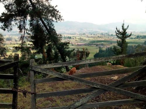 Caba�a De La Monta�a