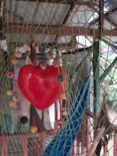 Bed & Breakfast Patamit�-caba�a