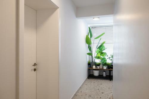 Apartamento New Central Studio With Free Parking