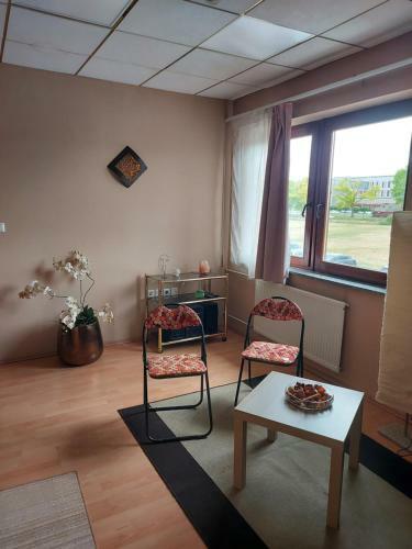 Apartma Nevi