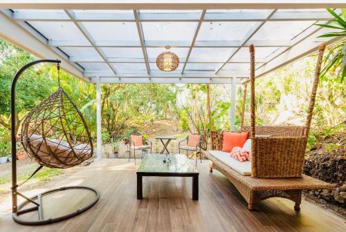Casita Naranja Tropical Plants Many Birds And Squirrels