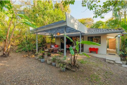 Casita Naranja Tropical Plants Many Birds And Squirrels