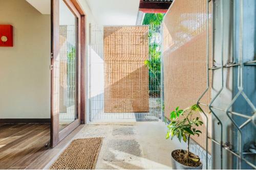 Casita Naranja Tropical Plants Many Birds And Squirrels