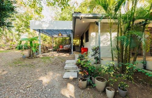 Casita Naranja Tropical Plants Many Birds And Squirrels
