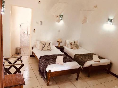 Hostal Green Tree Lodge