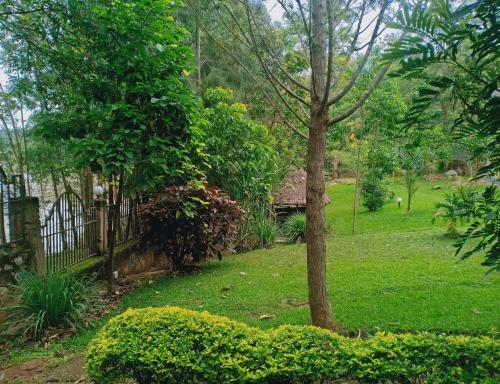 Hotel Ndamarosa River Park Resort