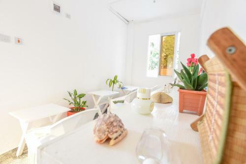 Albergue Enkayz Mombasa