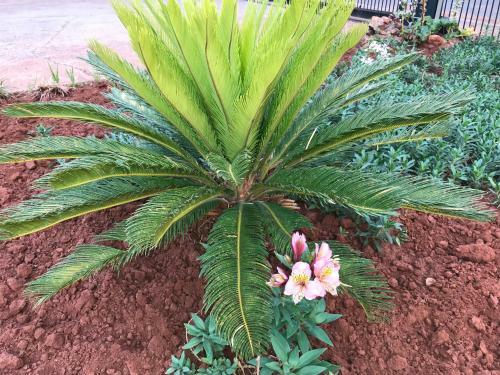 @ Home Bed & Breakfast