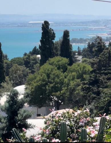 Villa Maison Traditionnelle � Sidi Bou Said