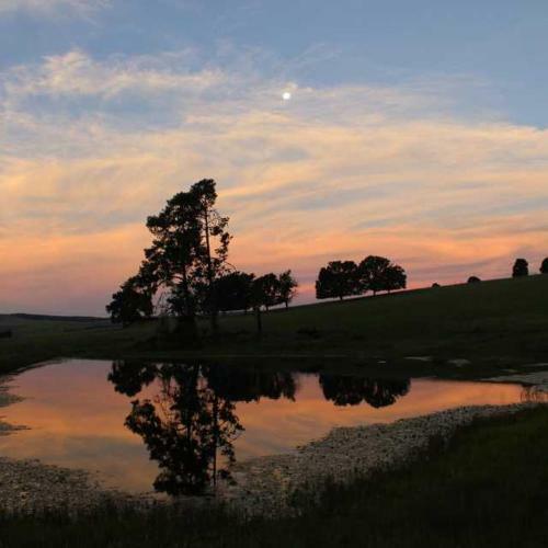 Apartamento Uitvlugt Ponds