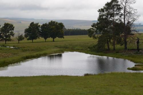 Apartamento Uitvlugt Ponds