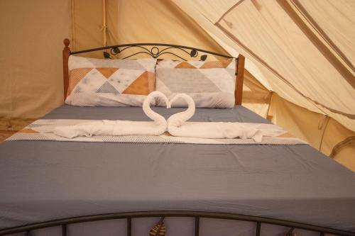 Lodge The Acacia Glamping Park
