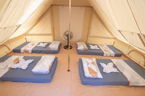 Lodge The Acacia Glamping Park