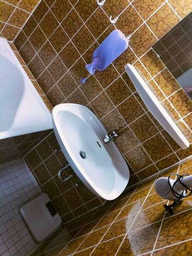 Apartamento Ferienwohnung Burgbergblick
