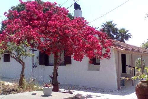 Ionian Sea Wave Country House