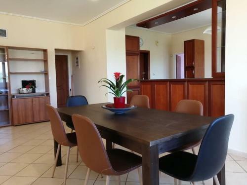 Apartamento ??????? ????? ???????? ??? ???????? 5' ??? ??? ???????!