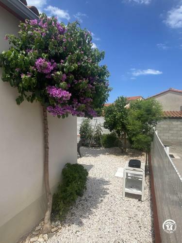 Agroturismo L'orangeraie