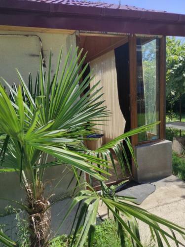 Hostal Family Guest House Marso