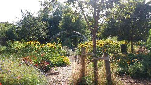 Bed & Breakfast De Geheime Tuin - Boshuis